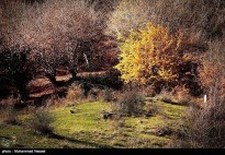 Golestan, Iran - Autumn 07