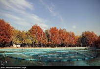Razavi Khorasan, Iran - Mashhad in Autumn 02