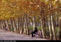 Razavi Khorasan, Iran - Mashhad in Autumn 08