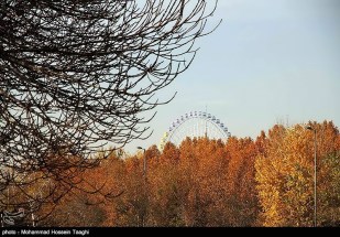 Razavi Khorasan, Iran - Mashhad in Autumn 10