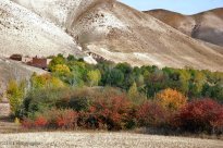 East Azerbaijan, Iran - Arasbaran in Autumn (Photo by Saeed Ghasemi, Mehr News Agency)