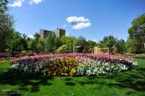 Alborz, Iran - Karaj, Chamran's Park Flower Garden 6