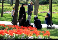 Razavi Khorasan, Iran - Mashhad, Bulbous Flowers Festival 04