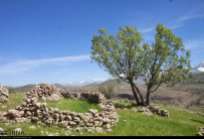Chaharmahal and Bakhtiari, Iran - Koohrang (Kuhrang) County - Spring 2