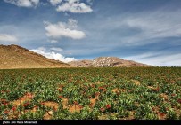 Iran Chahar Mahal Province -Spring in Koohrang 2
