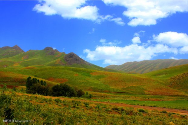 Spring nature in Iran East Azerbaijan Provice 3