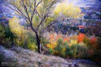 Autumn nature in Hamedan Province, Iran (Photo credit: Imam Hamikhah / Mehr News Agency)