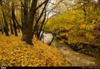 Autumn nature in Hamedan Province, Iran (Photo credit: Pouria Pakizeh / ISNA)