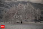 Mazandaran, Iran - Savadkuh County - Veresk bridge - Landscape, winter, snow 01