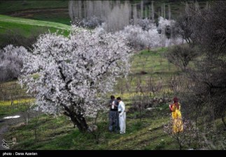 Marivan nature in early spring - Kurdistan Province, Iran - Photo credits: Dana Azarian / Tasnim News Agency