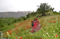 Chaharmahal and Bakhtiari, Iran - Ardal County - Beautiful nature in Landi Village 34