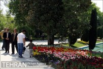 Park-e Shahr (City Park) in spring - Photo: Hamed Farajollah / Tehran Picture Agency