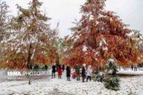 Autumn snow in Rasht - Gilan Province, Iran (Photo credits: Ashkan Shabani, ISNA)