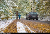 Autumn snow in Gorgan - Golestan, Iran (Photo credits: Mostafa Hazanzadeh, Tasnim)