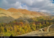 Alborz Province, Iran. Photo credit Abbas Shariati, Tasnim